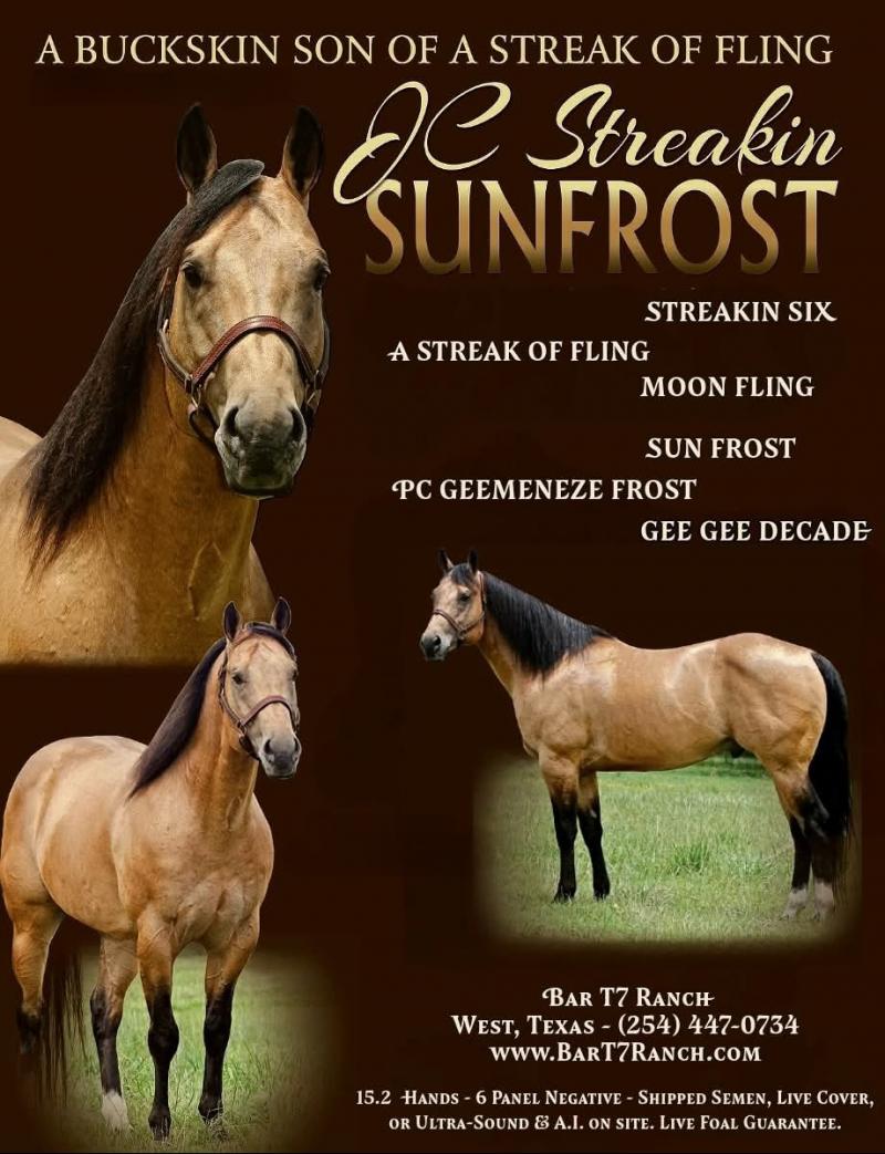 JC STREAKIN SUNFROST